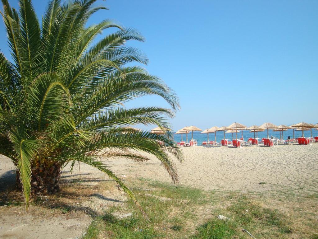 Pension Delfini Аспровалта Екстер'єр фото